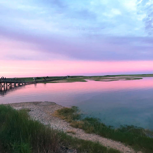 Cape Cod Intergroup Donations
